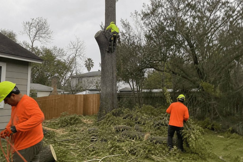 Crane lifting a large oak trunk section up over a fence during a removal in Danville, VA