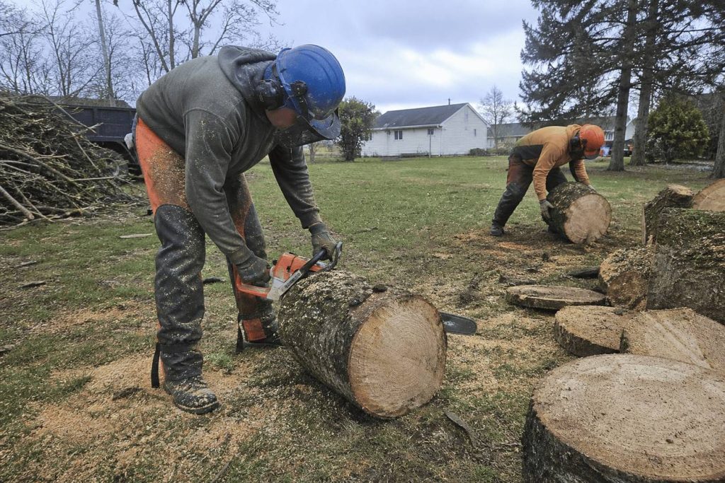 Tree crew clearing brush and coiling rope at the end of a removal in South Boston, Virginia