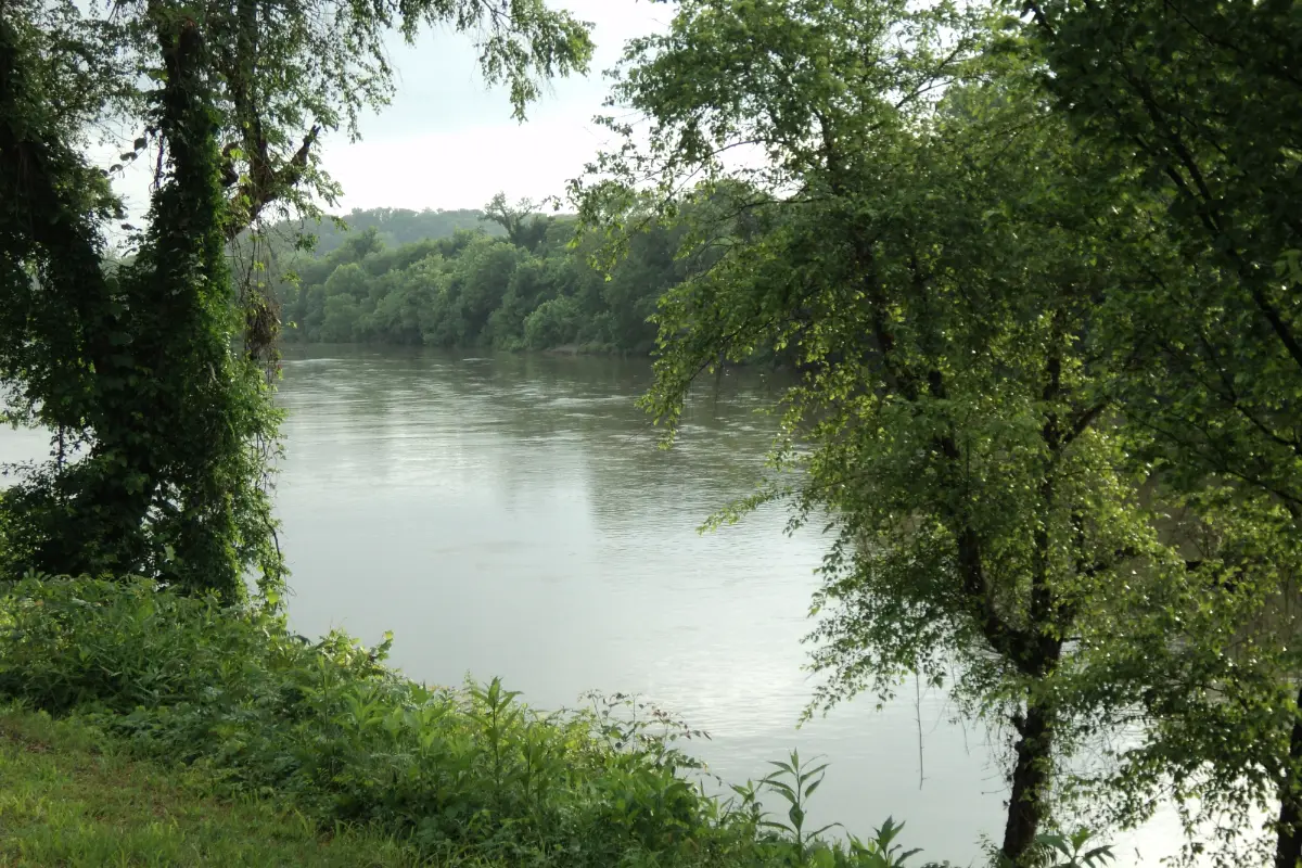 The Dan River running through Danville, Virginia, framed by trees on the bank