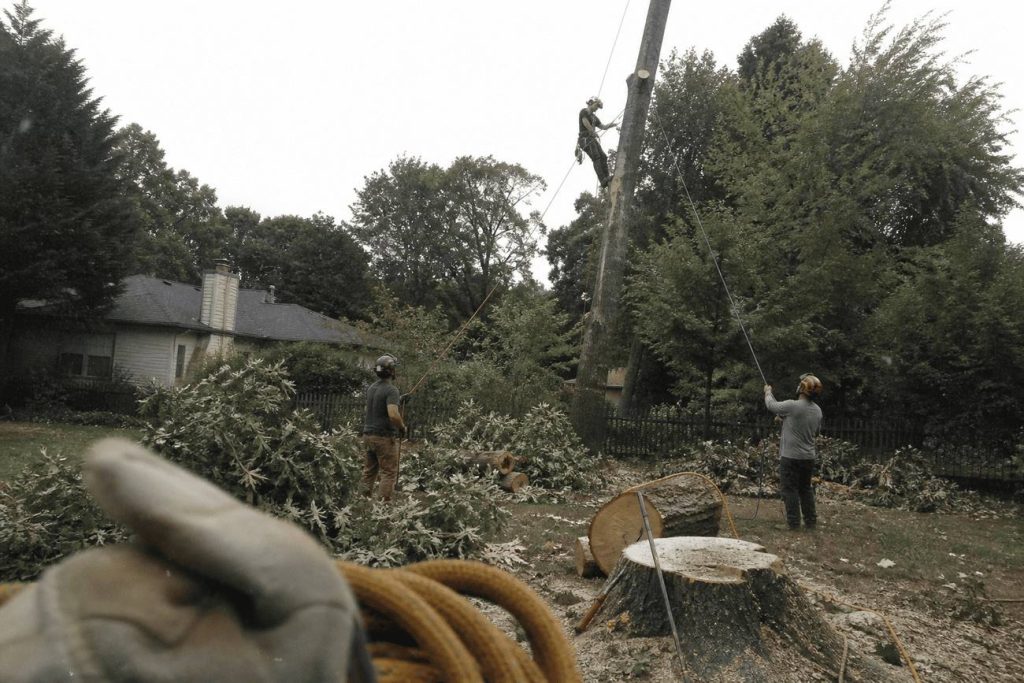 Tree removal crew standing with their chip truck and chipper in Danville, Virginia