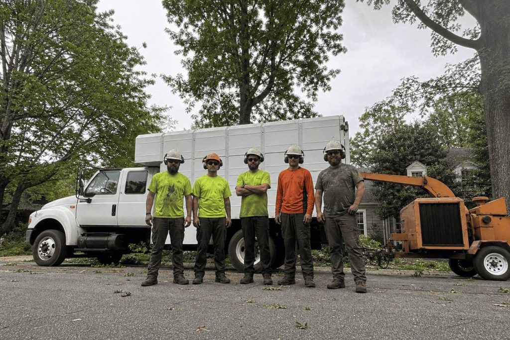 Crew bucking a felled trunk into rounds with a chainsaw in Danville, Virginia