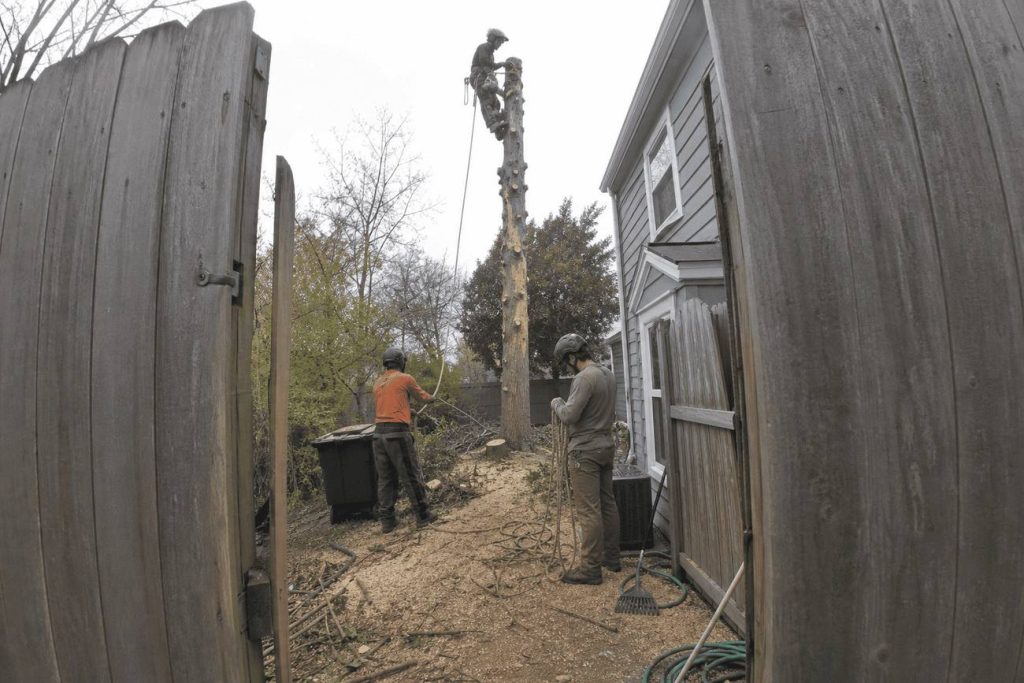 Tree crew and truck working a removal on a residential street in Reidsville, North Carolina